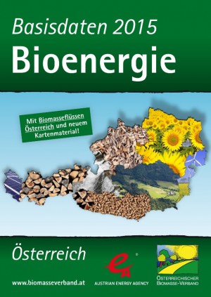 Bioenergie 2015