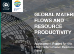 Global Material Flows and Resource Productivity
